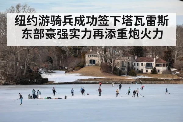 纽约游骑兵成功签下塔瓦雷斯 东部豪强实力再添重炮火力