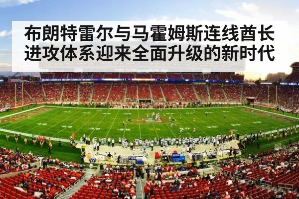 NFL stadium action